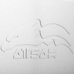 Acoustic-Imagery-Atsah-NC-Monobloc-Power-Amplifier-Logo